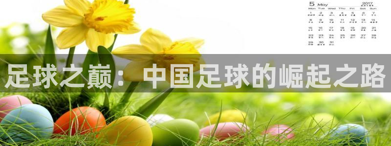 足球之巅：中国足球的崛起之路