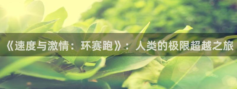 《速度与激情：环赛跑》：人类的极限超越之旅