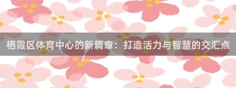 栖霞区体育中心的新篇章：打造活力与智慧的交汇点