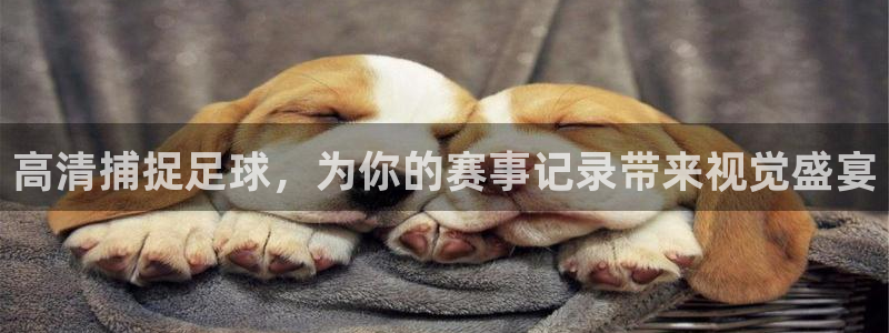 高清捕捉足球，为你的赛事记录带来视觉盛宴