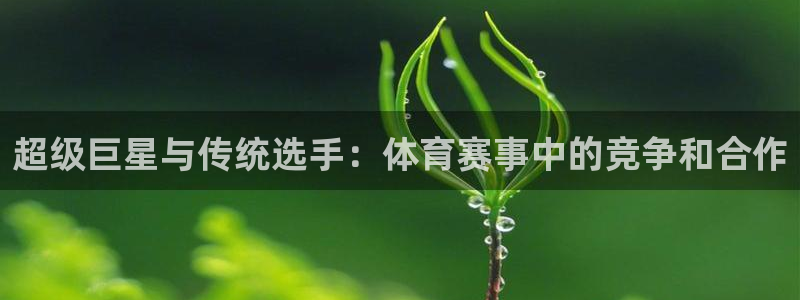 超级巨星与传统选手：体育赛事中的竞争和合作