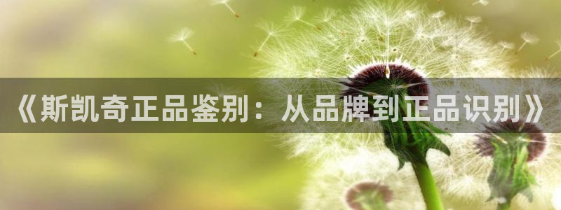 《斯凯奇正品鉴别：从品牌到正品识别》