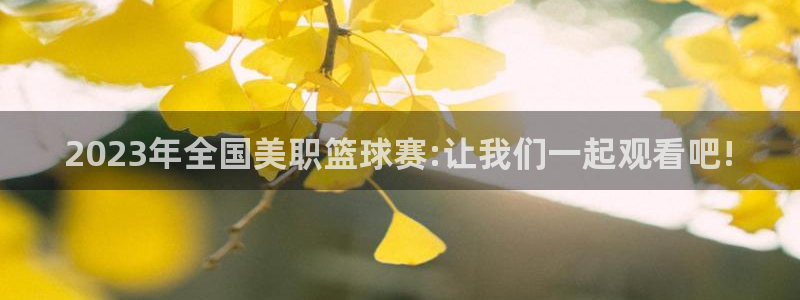 178足球比赛免费直播平台