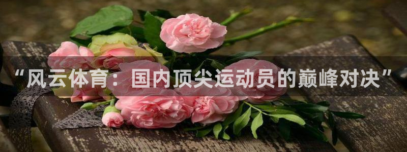 178免费体育直播