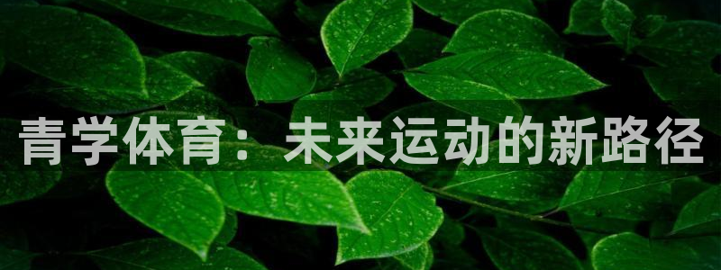 178体育安卓版下载