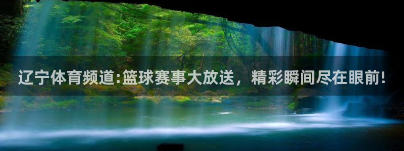 178篮球视频直播：辽宁体育频道:篮球赛事大放送，精彩瞬间尽在眼前!