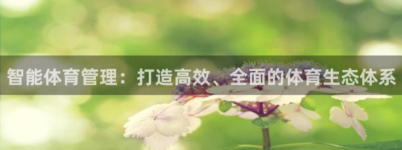 178体育app下载安装：智能体育管理：打造高效、全面的体育生态体系