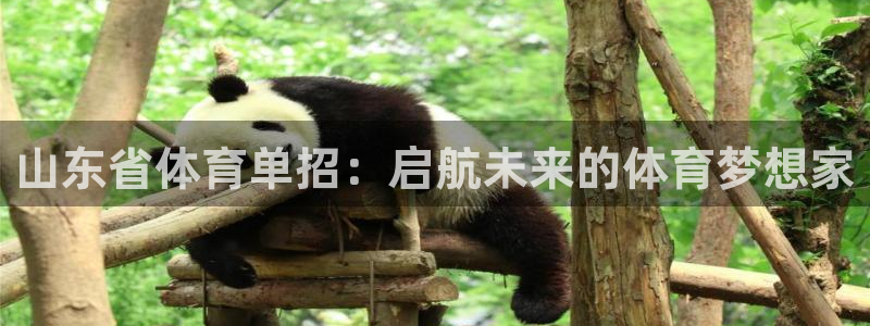 178nba直播吧：山东省体育单招：启航未来的体育梦想家