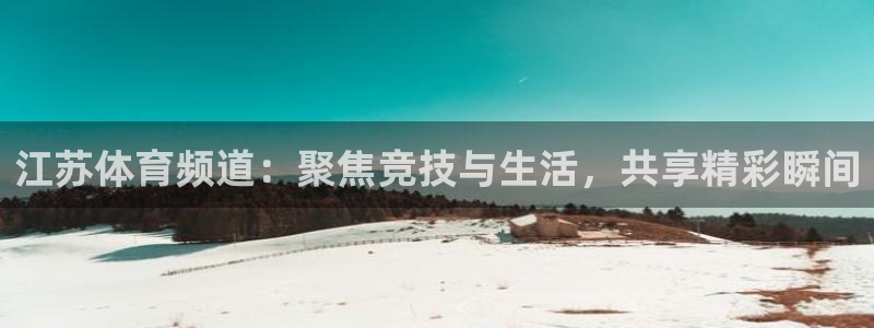178体育直播篮球赛事直播：江苏体育频道：聚焦竞技与生活，共享精彩瞬间